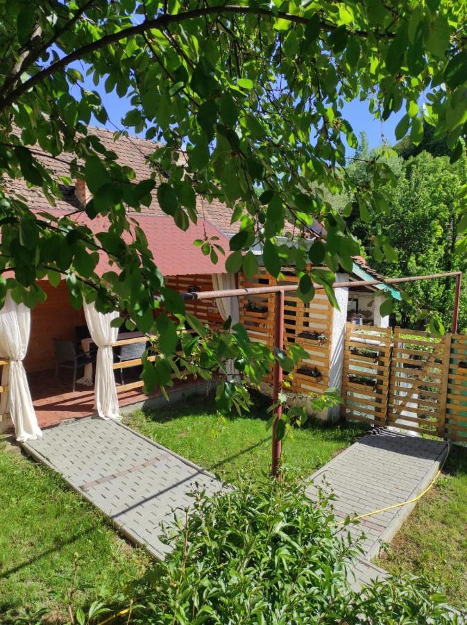 Gabi'S Home #2 Segesvár Kültér fotó