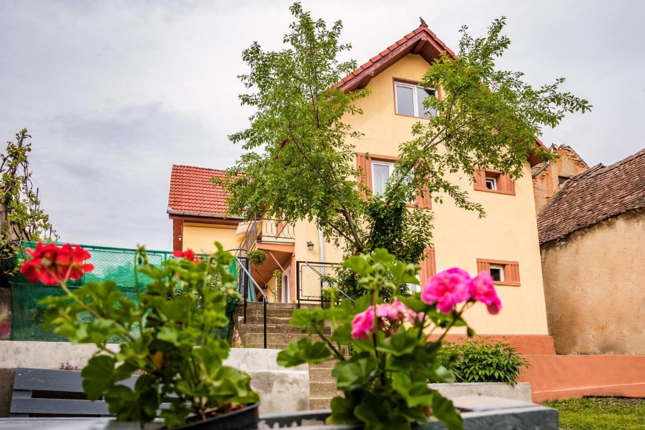 Gabi'S Home #2 Segesvár Kültér fotó